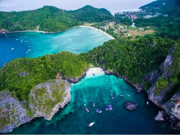 腔尾赣地巨龙！江西发现命名9000多万年前的恐龙新属种
