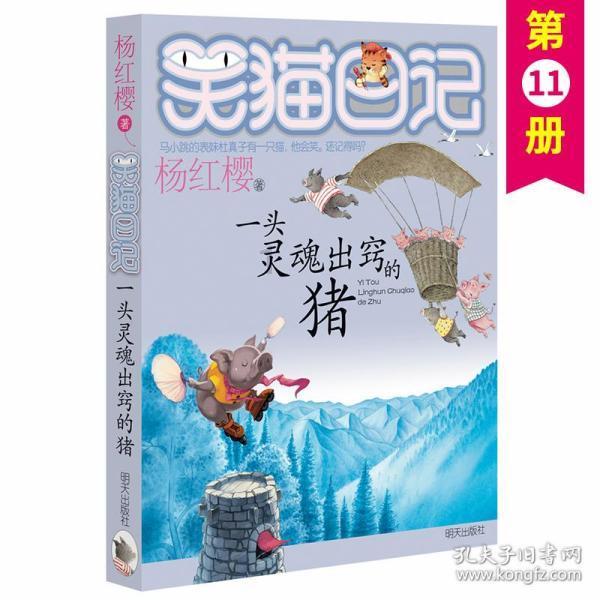 海滩度假胜地逃脱